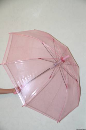 свадебный розовый полупрозрачный зонтик напрокат. зонтик невесты прокат