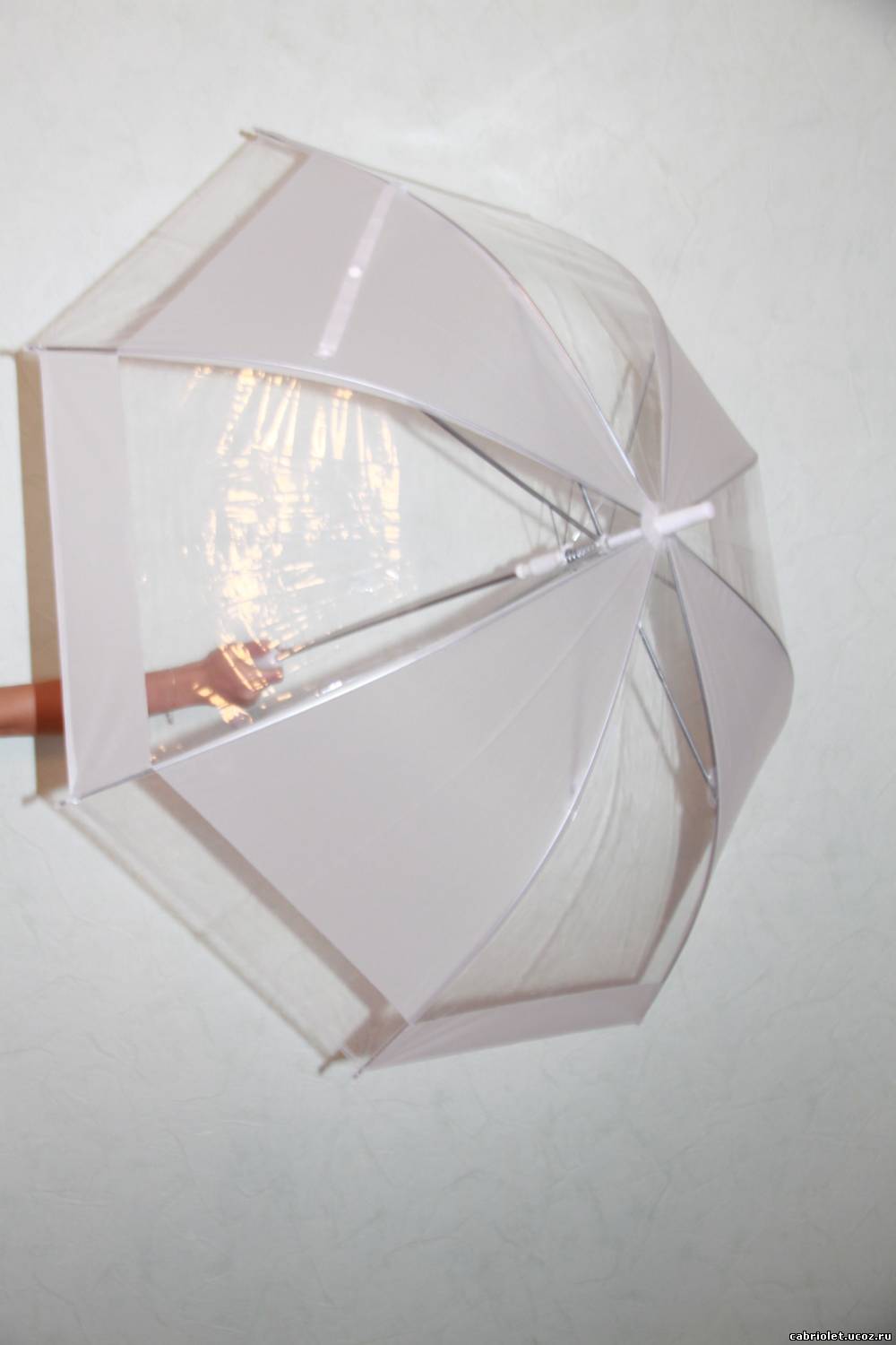 полупрозрачный свадебный зонтик
